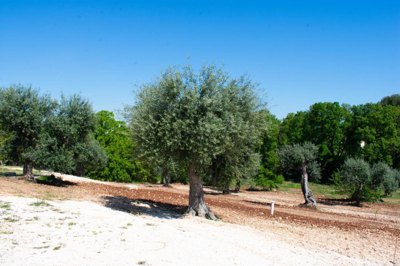 Casale Dello Zio, Private Pool By Il Pumo Di Puglia Villa Castellana Grotte Exterior foto